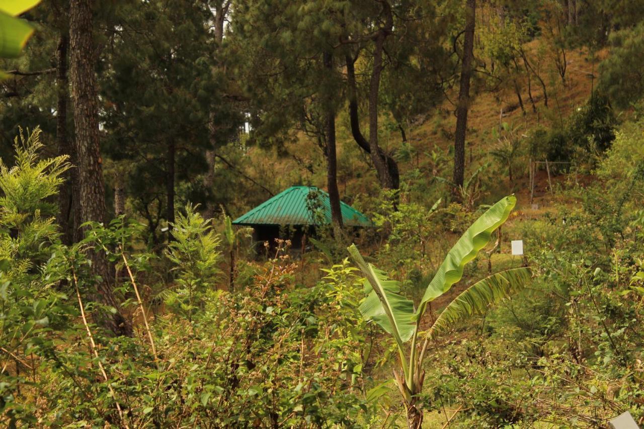 Heal Farm - Himalayan Eco Alternative Lifestyle For Agriculture Recreation And Meditation 奈尼塔尔 外观 照片