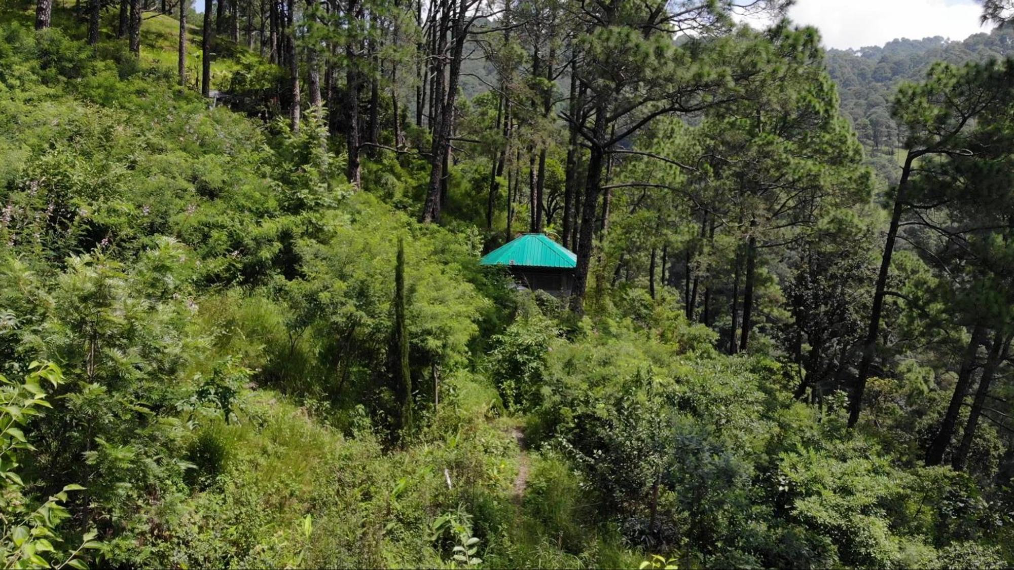 Heal Farm - Himalayan Eco Alternative Lifestyle For Agriculture Recreation And Meditation 奈尼塔尔 外观 照片