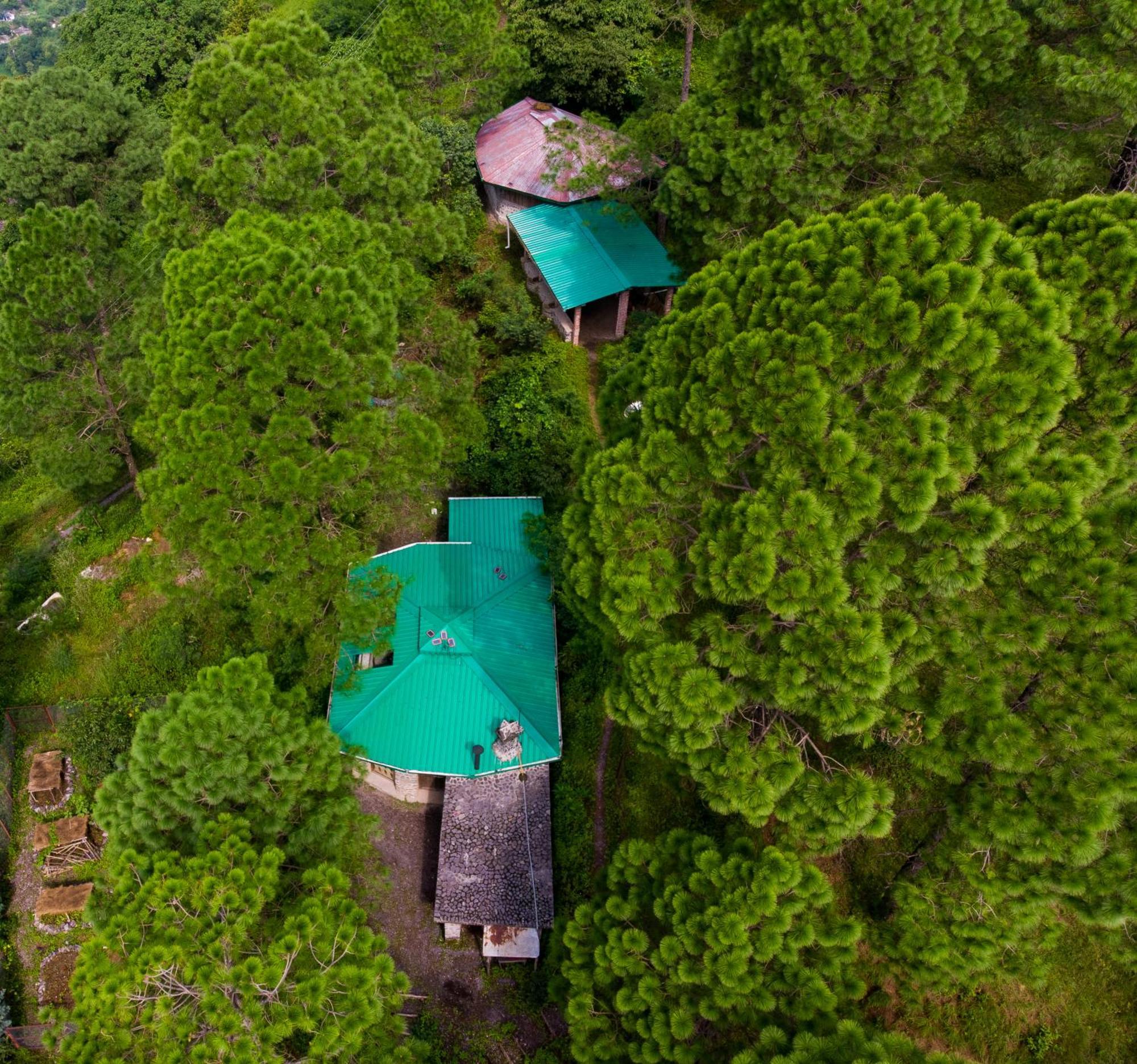 Heal Farm - Himalayan Eco Alternative Lifestyle For Agriculture Recreation And Meditation 奈尼塔尔 外观 照片