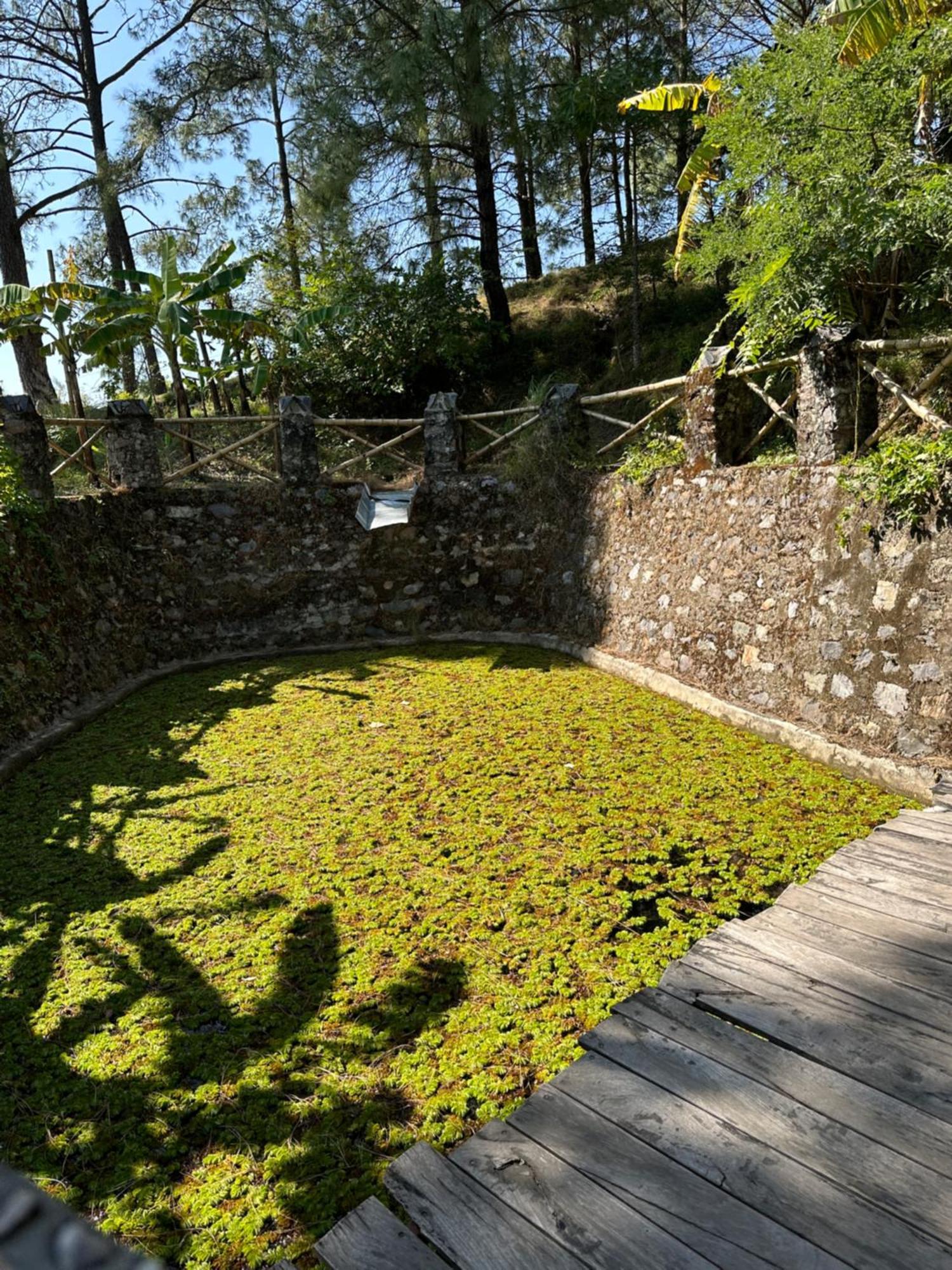 Heal Farm - Himalayan Eco Alternative Lifestyle For Agriculture Recreation And Meditation 奈尼塔尔 外观 照片